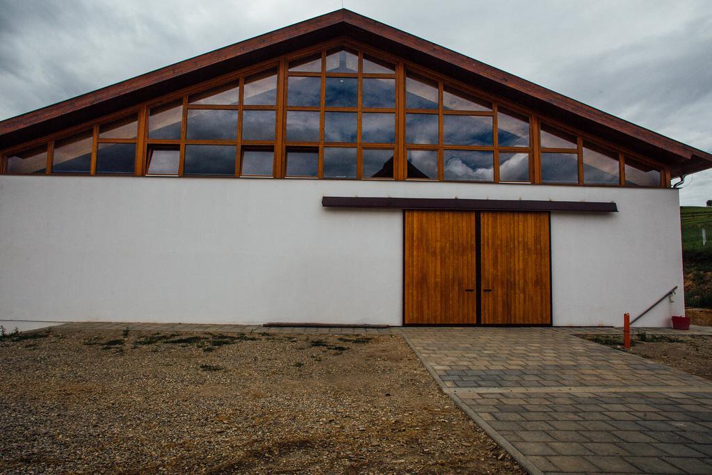 Kavalliera Pensiune Cotormani Exterior photo